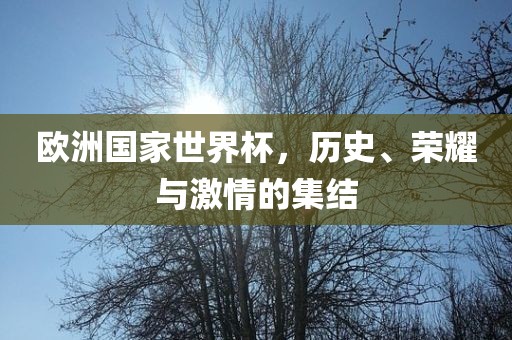 欧洲洪湖市顺升工程机械租赁有限公司国家世界杯，历史、荣耀与激情的集结
