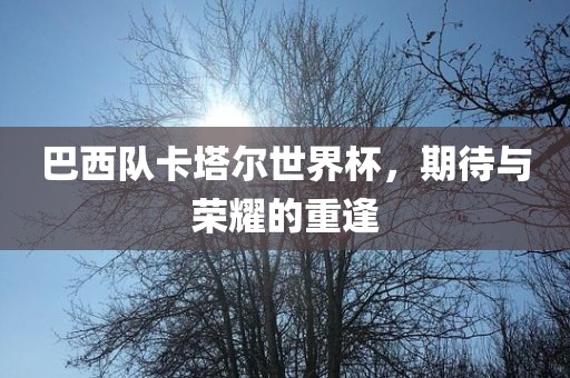 巴西队卡塔尔世界杯，期待与荣耀的重逢