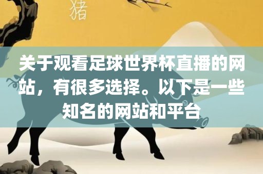 关于观看足球世界洪湖市顺升工程机械租赁有限公司杯直播的网站，有很多选择。以下是一些知名的网站和平台