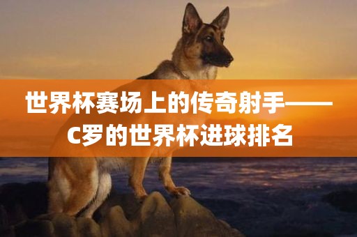 世界杯赛场上的传奇射手——C罗的世界杯进球排名洪湖市顺升工程机械租赁有限公司