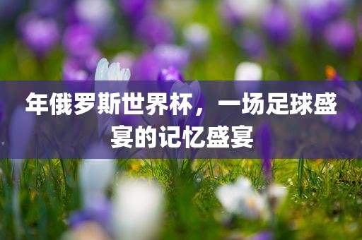 年俄罗斯世界杯，一场足球盛宴的记忆盛宴洪湖市顺升工程机械租赁有限公司