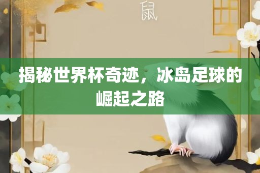 揭秘世界杯奇迹，冰岛足球的崛起之路