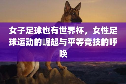 女子足球也有世界杯，女性足球运动的崛起与平等竞技的呼唤洪湖市顺升工程机械租赁有限公司