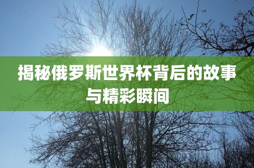 洪湖市顺升工程机械租赁有限公司揭秘俄罗斯世界杯背后的故事与精彩瞬间