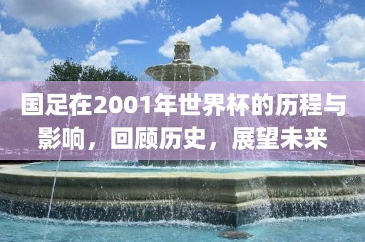 国足在2001年世界杯的历程与影响，回顾历史，展望未来洪湖市顺升工程机械租赁有限公司