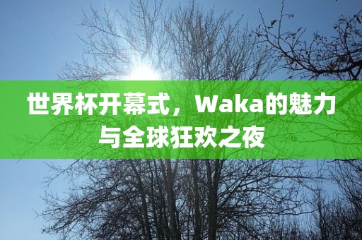 世界杯开幕式，Waka的魅力与全球狂欢之夜
