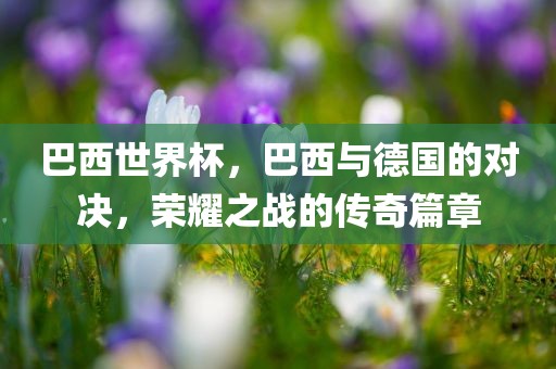 巴西世界杯，巴西与德国的对决，荣耀之战的传奇篇章洪湖市顺升工程机械租赁有限公司