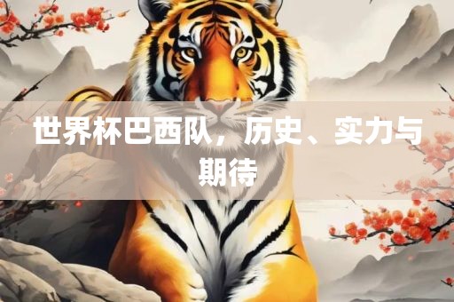 世界杯巴西队，历史、实力与期待