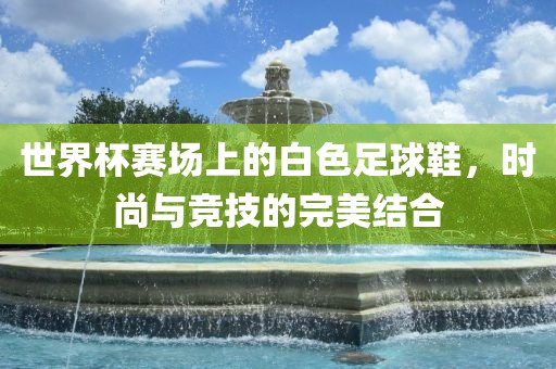 世界杯赛场上的白色足球鞋，时尚与竞技的完美结合洪湖市顺升工程机械租赁有限公司