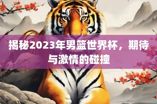 揭秘2023年男篮世界杯，期待与激情的碰撞