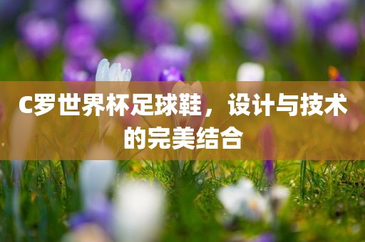 C罗世界杯足球鞋，设计与技术的完美结合洪湖市顺升工程机械租赁有限公司