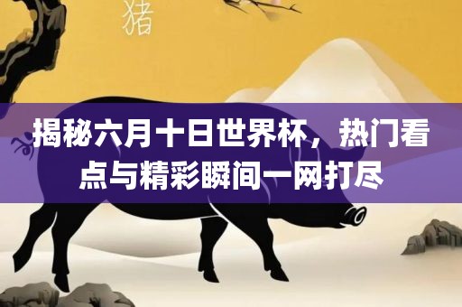 揭秘六月十日世界杯，热门看点与精彩瞬间一网打尽洪湖市顺升工程机械租赁有限公司