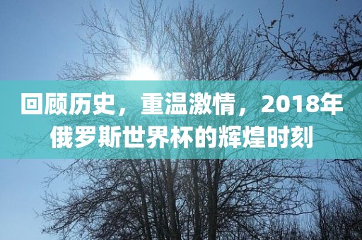 回顾历史，重温激情，2018年俄罗斯世界杯的辉煌时刻
