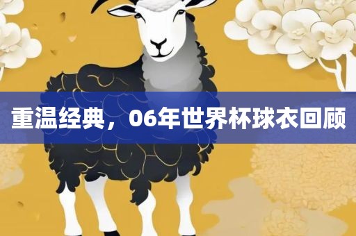 重温经典，06年世界杯球衣回洪湖市顺升工程机械租赁有限公司顾