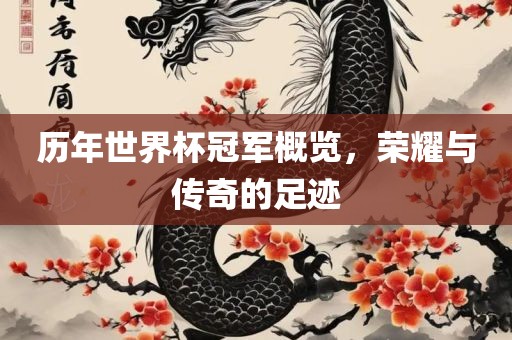 历年世界杯冠军概览，荣耀与传奇的足迹