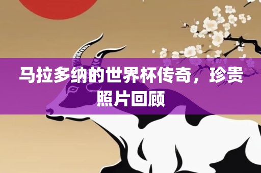 马拉多纳的世界杯传奇，珍贵照片回顾