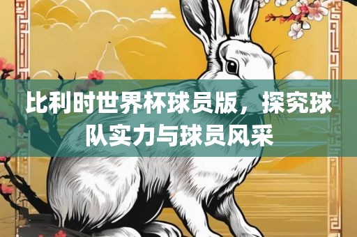 比利时世界杯球员版，探究球队实力与球员风采洪湖市顺升工程机械租赁有限公司