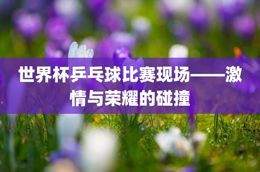 世界杯乒乓球比赛现场——洪湖市顺升工程机械租赁有限公司激情与荣耀的碰撞