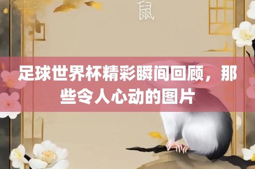 足球世界杯精彩瞬间回顾，那些令人心动的图片洪湖市顺升工程机械租赁有限公司