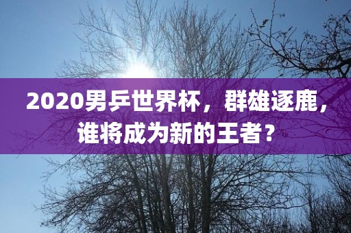 2020男乒世界杯，群雄逐鹿，谁将成为新的王者？