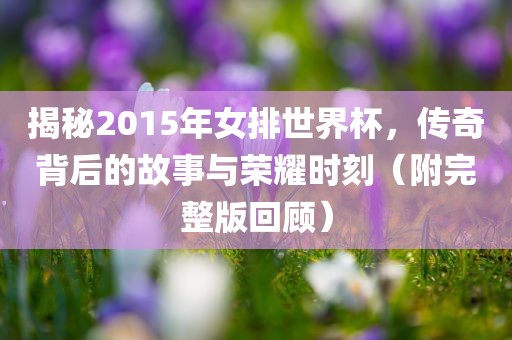 揭秘2015年女排世界杯，传奇背后的故事与荣耀时刻（附完整版回顾）