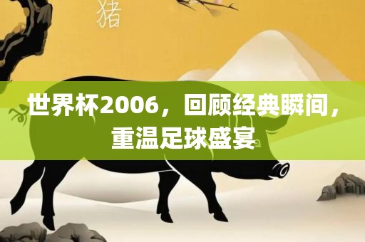 世界杯2006，回顾经典瞬间，重温足球盛宴