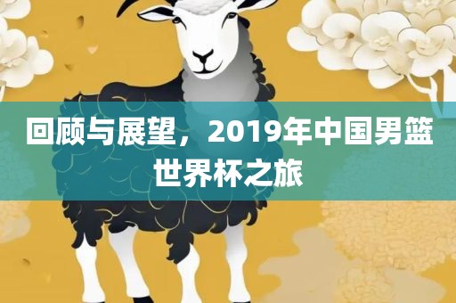 回顾与展望，2019年中国男篮世界杯之旅
