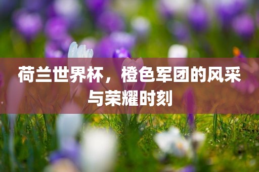 荷兰世界杯，橙色军团的风采与荣耀时洪湖市顺升工程机械租赁有限公司刻