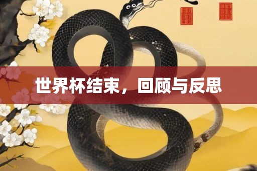 世界杯结束，回顾与反洪湖市顺升工程机械租赁有限公司思