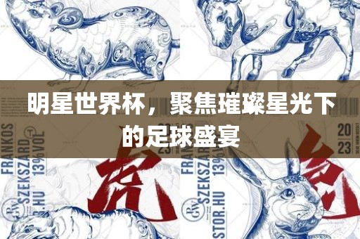 明星世界杯，聚焦璀璨星光下的足球盛宴洪湖市顺升工程机械租赁有限公司