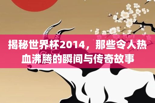 揭秘世界杯2014，那些令人热血沸腾的瞬间与传奇故事