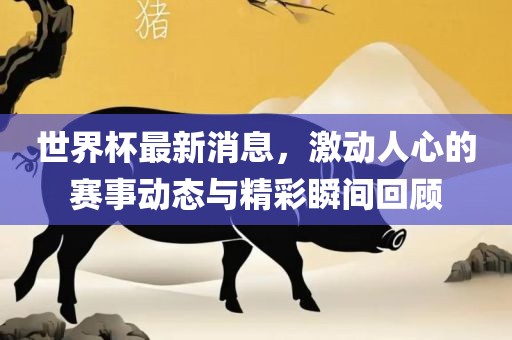 世界杯最新消息，激动人心的赛事动态与精彩瞬间回顾