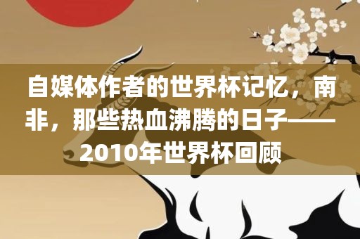 自媒体作者的世界杯记忆，南非，那些热血沸腾的日子——2010年世界杯回顾