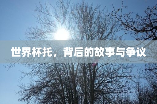 世界杯托，背后的故事与争议洪湖市顺升工程机械租赁有限公司