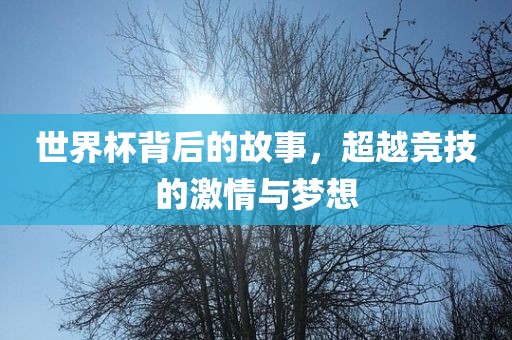 世界杯背后的故事，超越竞技的激情与梦想