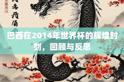 巴西在2014年世界杯的辉煌时刻，回顾与反思