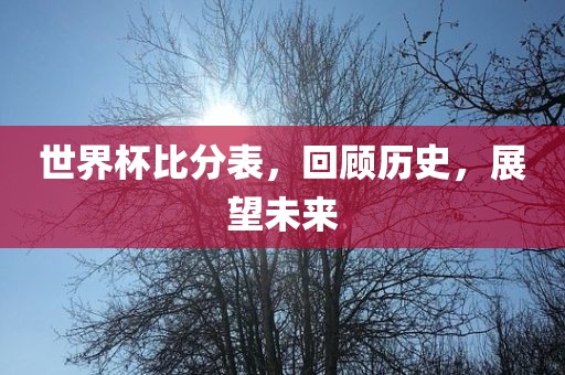 世界杯比分表，回顾历史，展望未来洪湖市顺升工程机械租赁有限公司