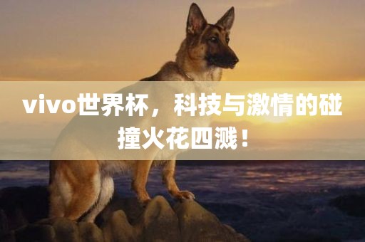 vivo世界杯，科技与激情的碰撞火花四溅！