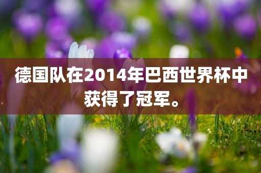 德国队在20洪湖市顺升工程机械租赁有限公司14年巴西世界杯中获得了冠军。