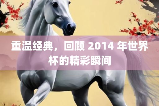 重温经典，回顾 2014 年世界杯的精彩瞬间