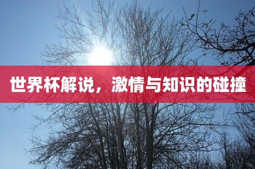 世界杯解说，激情与知识的碰撞