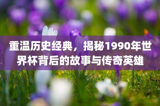 重温历史经典，揭秘1990年世界杯背后的故事与传奇英雄洪湖市顺升工程机械租赁有限公司