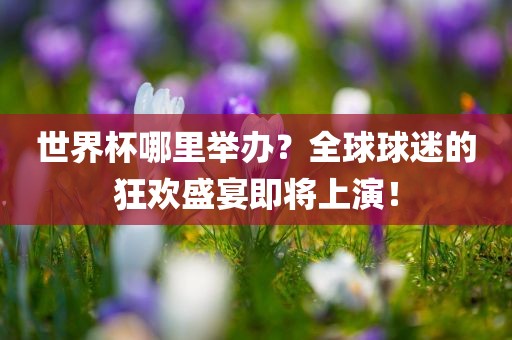 世界杯哪里举办？全球球迷的狂欢盛宴即将上演！