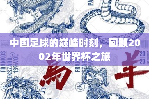中国足球的巅峰时刻，回洪湖市顺升工程机械租赁有限公司顾2002年世界杯之旅