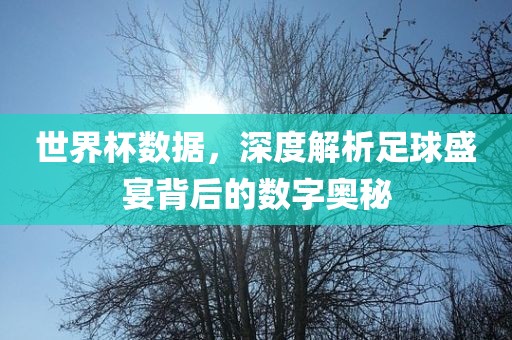 世界杯数据，深度解析足球盛宴背后的数字奥秘洪湖市顺升工程机械租赁有限公司
