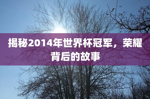 揭秘2014年世界杯冠军，荣耀背后的故事洪湖市顺升工程机械租赁有限公司
