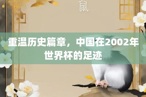 重温历史篇章，中国在洪湖市顺升工程机械租赁有限公司2002年世界杯的足迹