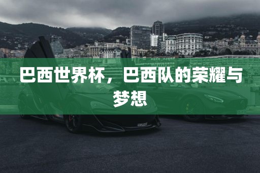 巴西世界杯，巴西队的荣耀与梦想洪湖市顺升工程机械租赁有限公司