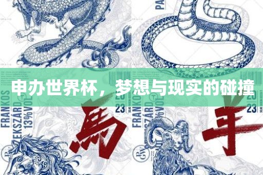 申办世界杯，梦想与现实的碰撞