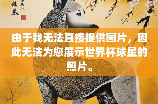 由于我无法直接提供图片，因此无法为您展示世界杯球星的照片。